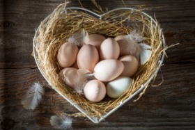 healty eggs